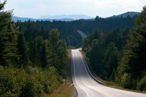 Lonely Road